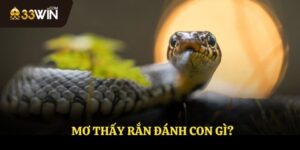 Trong Giấc Mơ Gặp Rắn Là Điềm Báo Gì? Ý Nghĩa Của Giấc Mơ