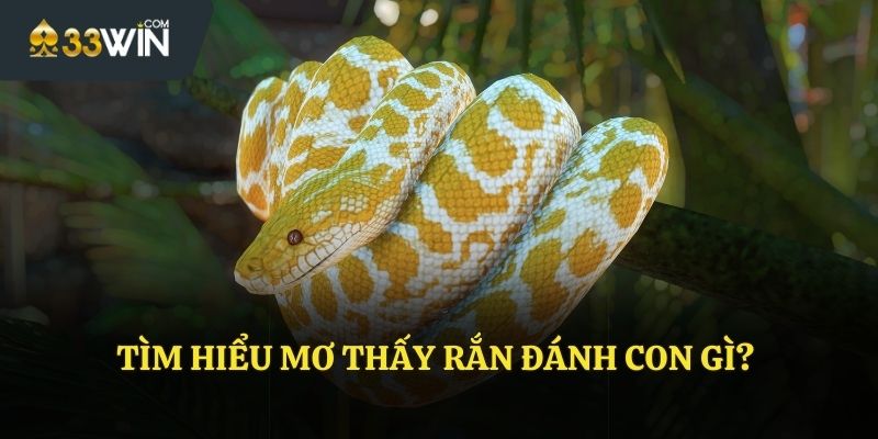 Tìm hiểu về giấc mơ thấy rắn