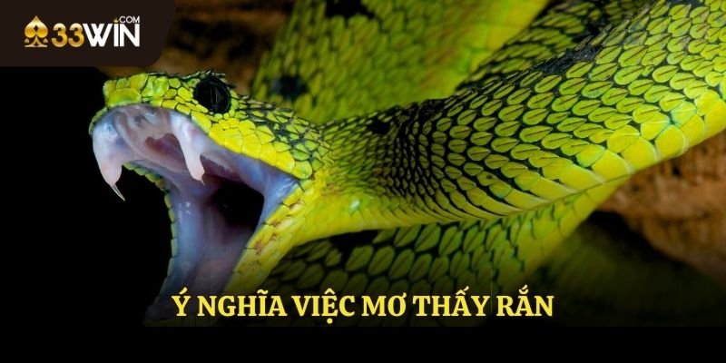 Ý nghĩa khi mơ thấy rắn