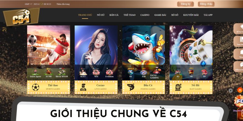 Điểm qua những thông tin cơ bản về nhà cái C54