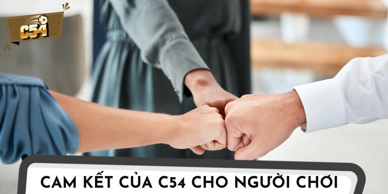Tỷ lệ cược minh bạch là một trong những cam kết lâu dài của C54